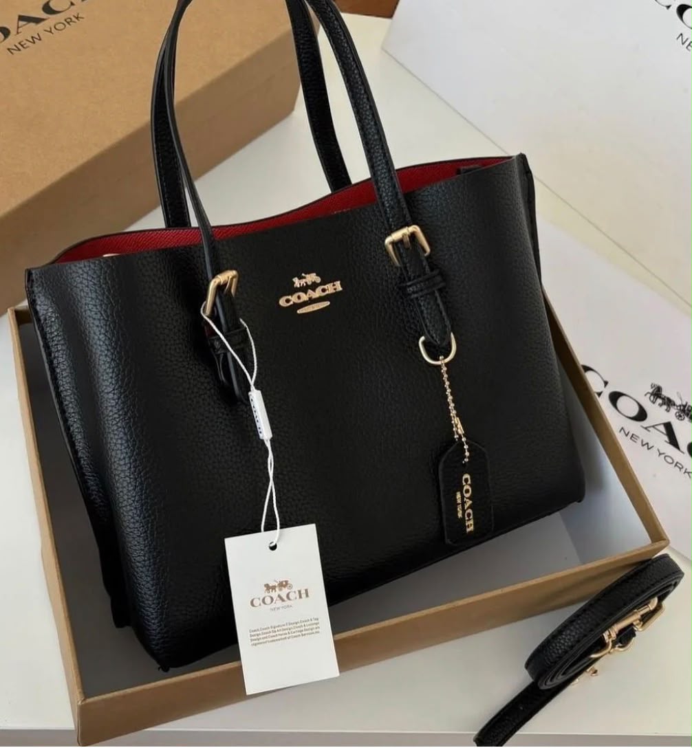 Coach Mollie Tote in Signature Canvas
