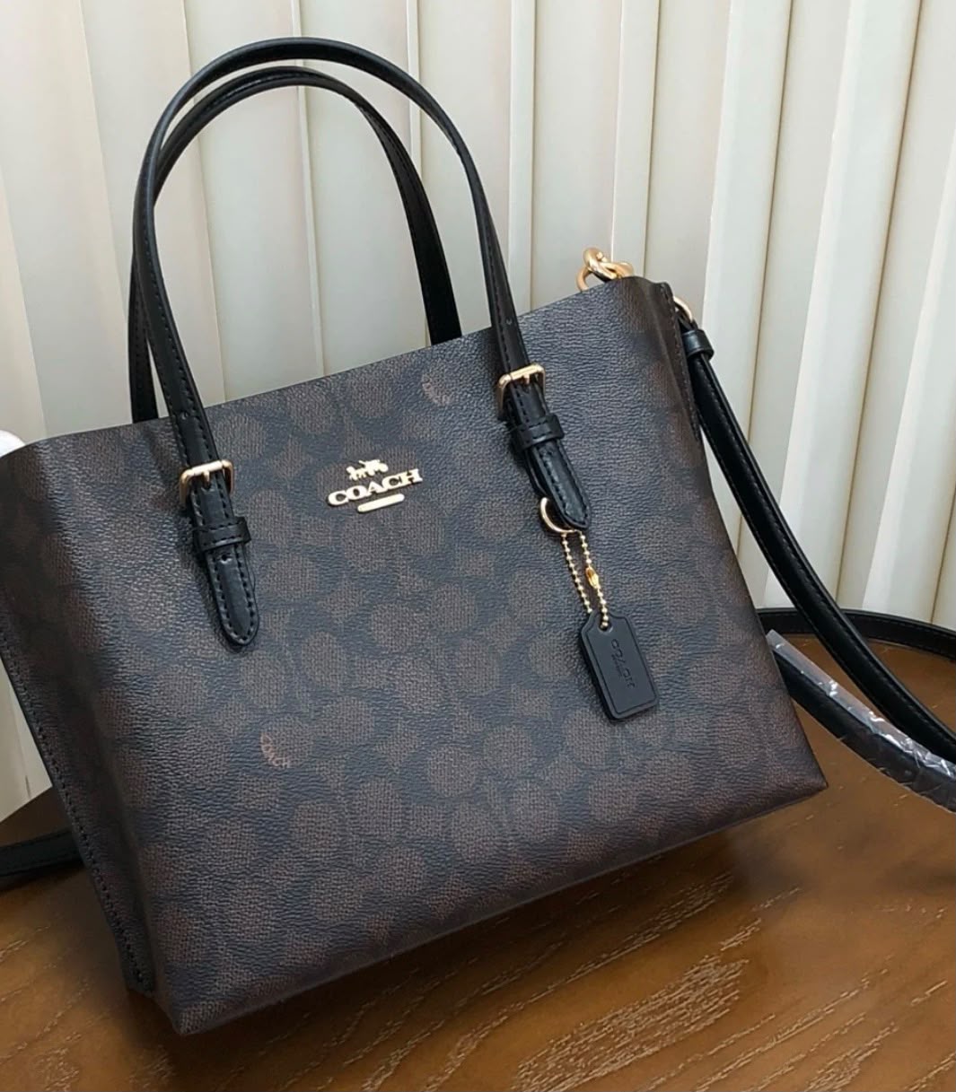 Coach Mollie Tote Signature Canvas