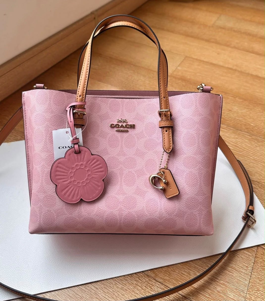 Coach Mollie Tote Signature Canvas